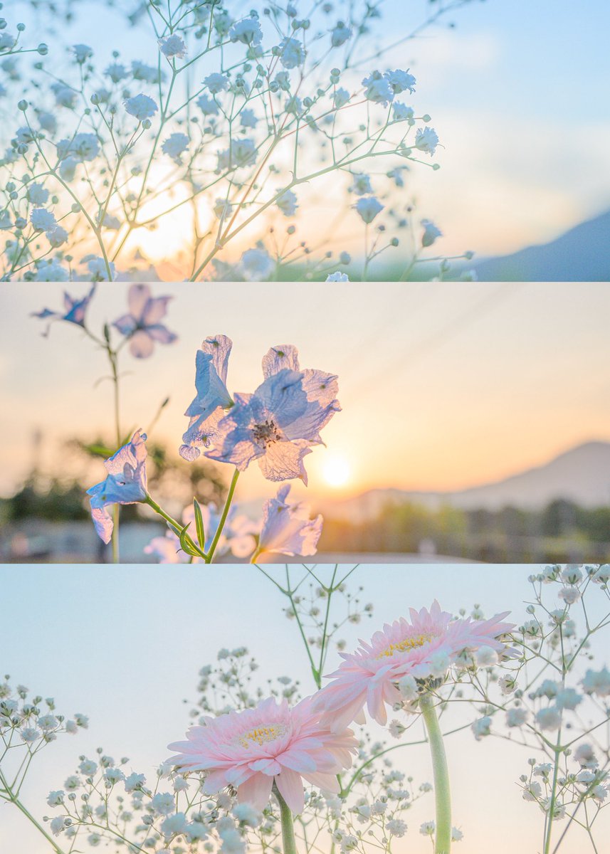 Noah_photobook's tweet photo. 淡色。 https://t.co/mwzvW5p1sC