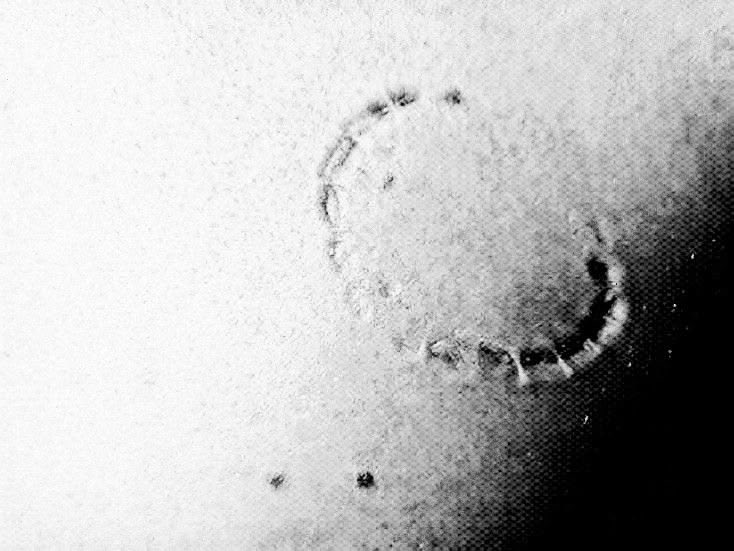 DirectorFandom tweet picture