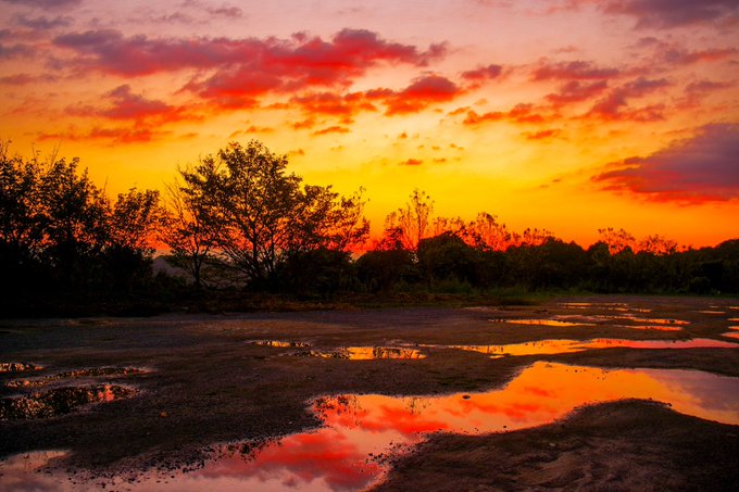 A vibrant sunset landscape with orange and red skies, silhouetted trees, and reflective puddles on a dirt road.