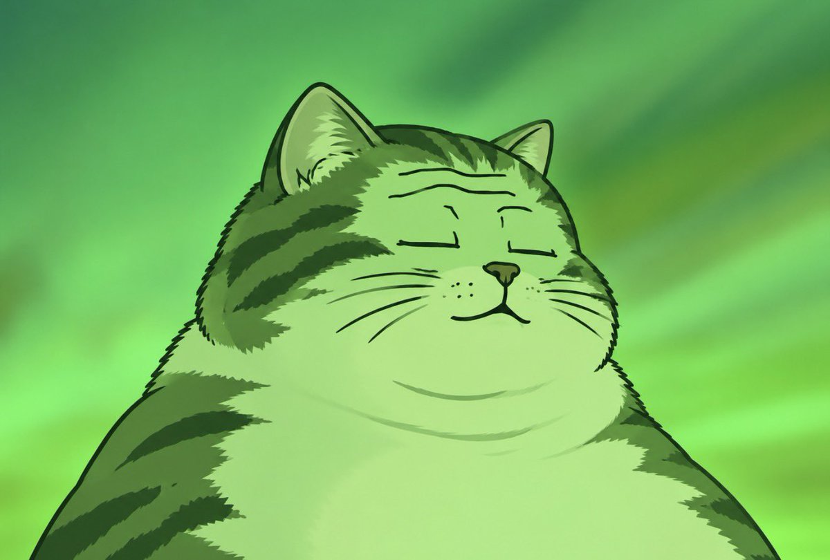 Chonkcat_sol's tweet photo. https://t.co/cSL88d09LX