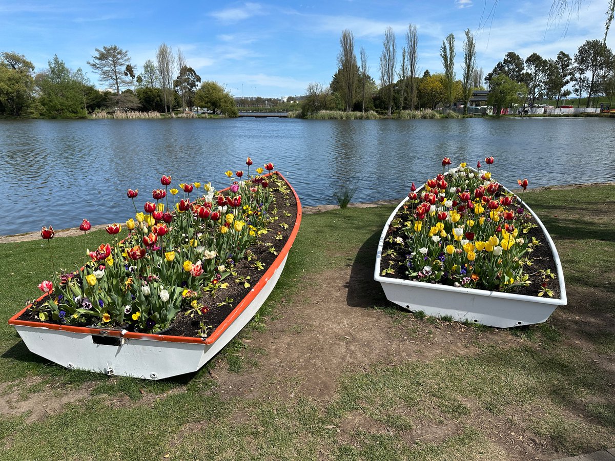 AgentBasil's tweet photo. Canberra's Floriade has launched ! #BushCapital https://t.co/HWWOVgA9jP