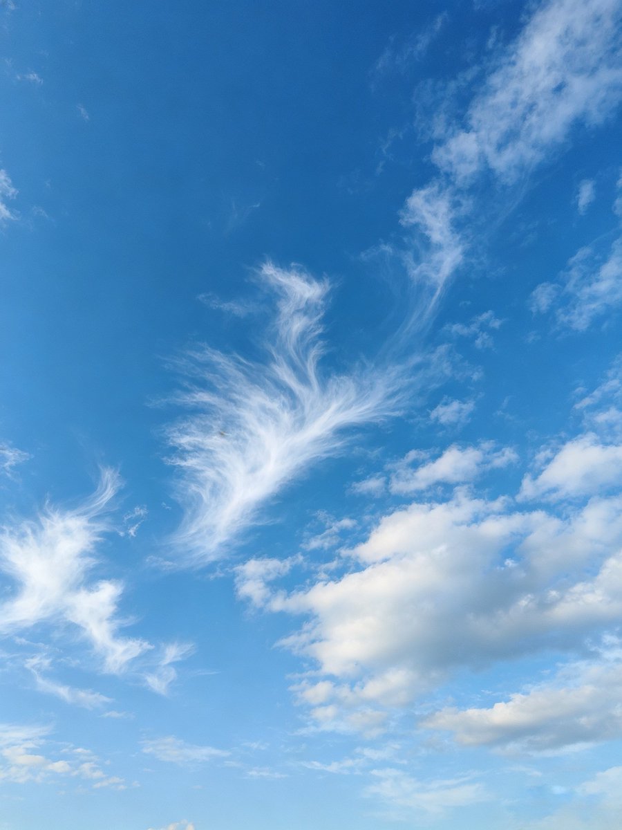 ArtistChloe's tweet photo. The sun’s golden fingers trail softly across my skin, while this endless blue sky wraps me in its warm, intoxicating embrace… pure, cloudless, and utterly irresistible ☀️💙 https://t.co/WbmYjlEJ5i