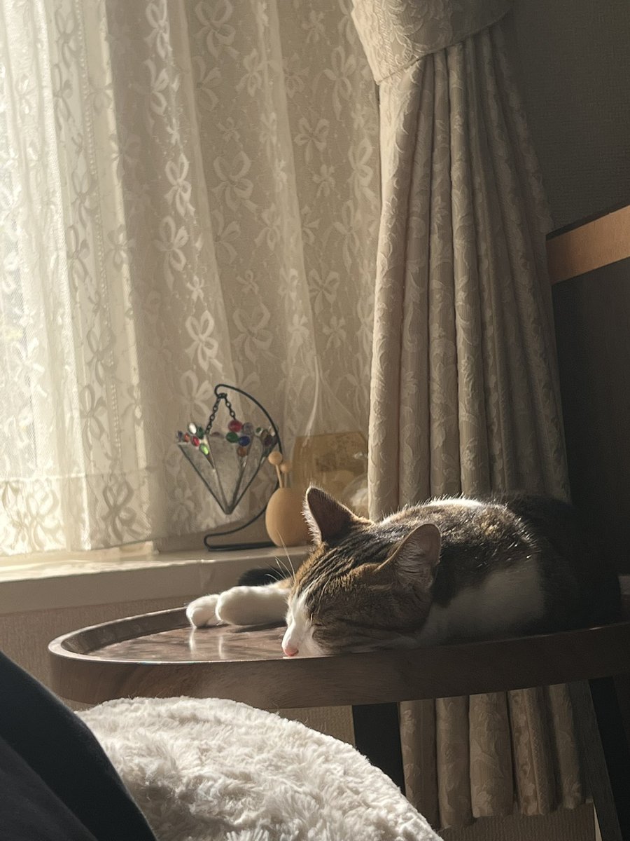 k_take127's tweet photo. ついに高校卒業ぶりに札幌生活へ
新千歳到着後に「あー帰る場所から生活する場所になったのか」って感じで寂しさを感じた
16年の東北→関東ライフセンキュー https://t.co/gPuqxnQRA4