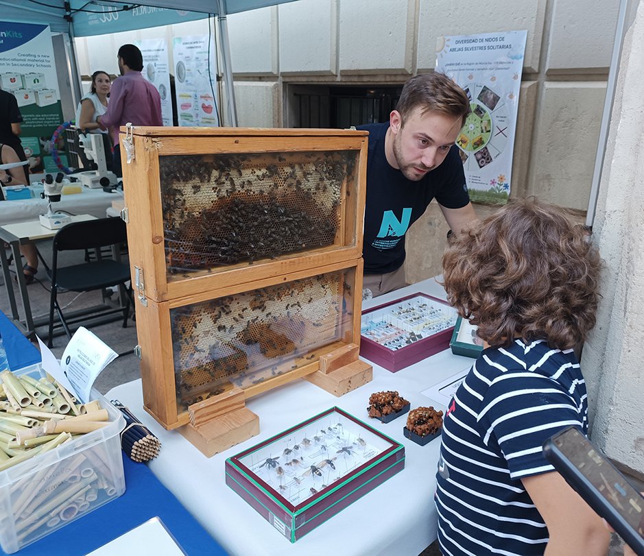 avBioUMU's tweet photo. Nuestros compañeros de Filogenia y Evolución Animal participaron en esta edición de La Noche Europea de los Investigadores UMU, 'Descubriendo el fascinante mundo de las abejas y otros polinizadores'. https://t.co/MAQ0YWlxUG