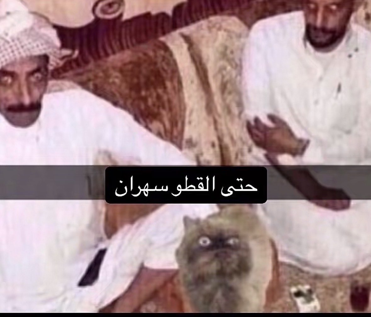 M1955_1's tweet photo. هي والله https://t.co/aSNCJFFxsx