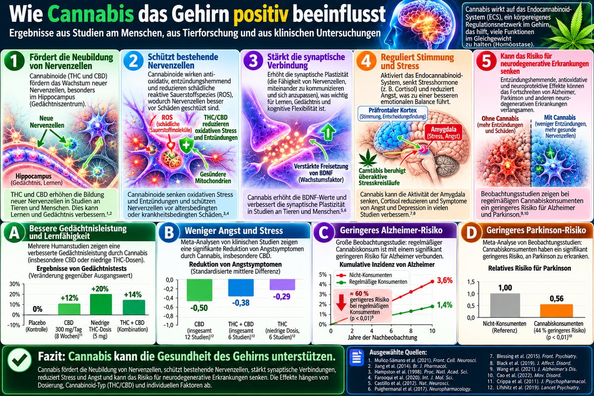 sceptic2022's tweet photo. @betterkarma4U @UsualRedAnt @weedmob Kann man annehmen, das Du Deinem psychisch kranken Sohn, billiges Spice, anstatt echtem Cannabis besorgt hast und er deshalb auf Fentanyl abgerutscht ist? Nun suchst Du einen anderen Schuldigen, gehörst aber eigentlich in den Knast, wegen schwerer Körperverletzung. @INTERPOL_HQ https://t.co/7hY9j2eBuy