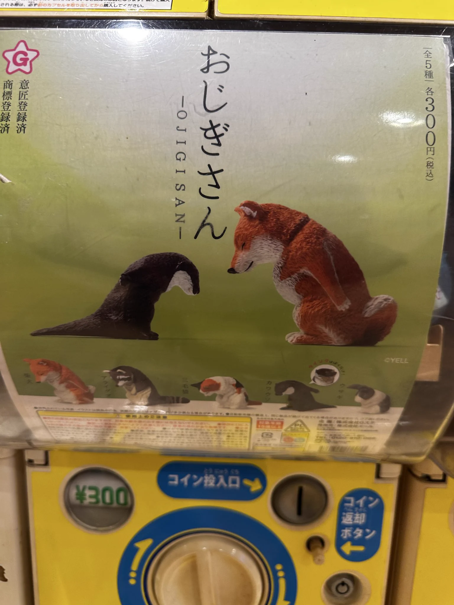 金髪にーちゃん🙏(Mr.Loser、Mr.winner)・わんころもち on X