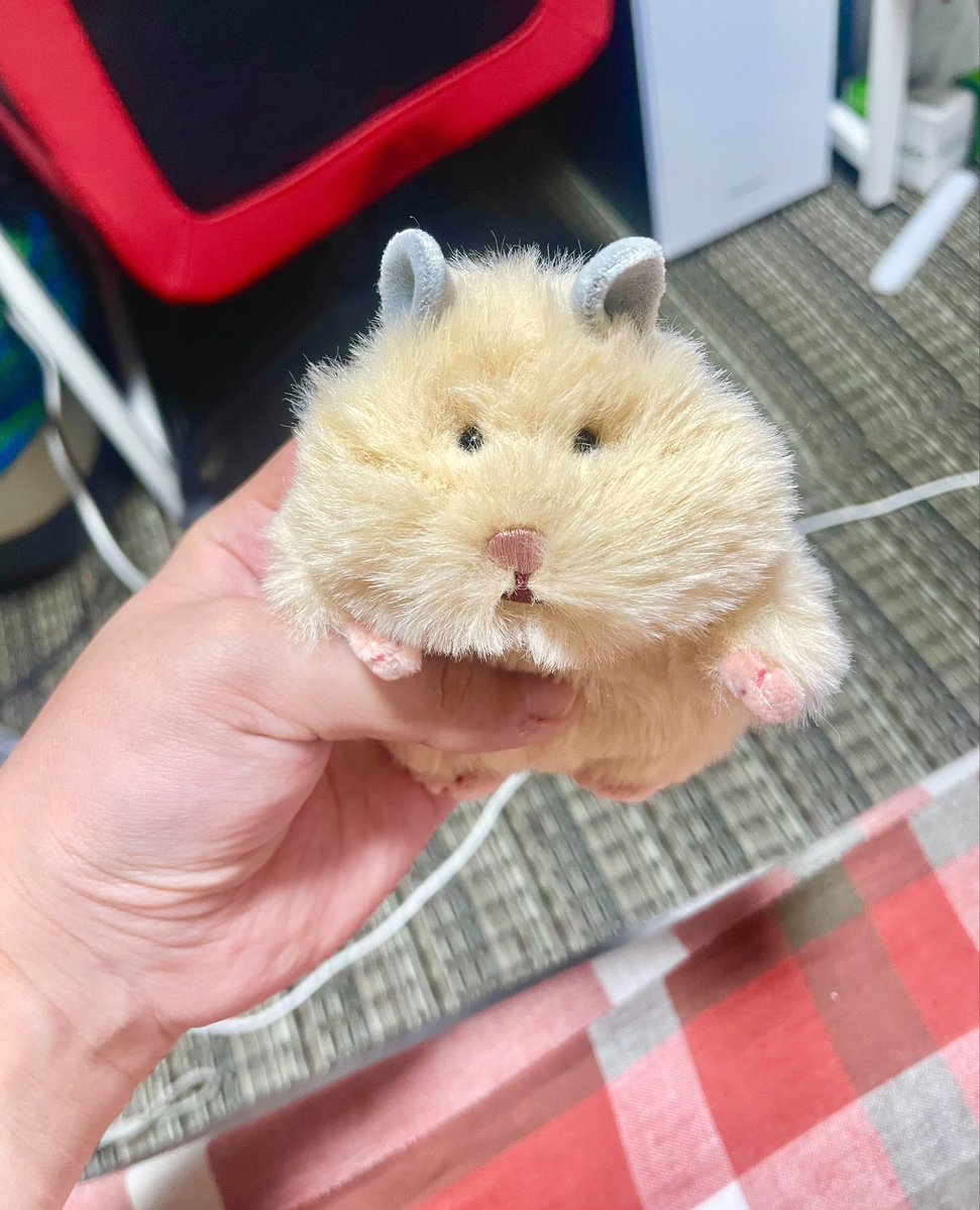 doll_11x18's tweet photo. かっ……可愛すぎないか。
お名前はぽんちゃんです(本当に飼っているキンクマの女の子と同じ名前にしました😌) https://t.co/Jhc6Sg32WV