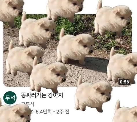 hwi40's tweet photo. 이거같음 https://t.co/YBQL6xL9wP