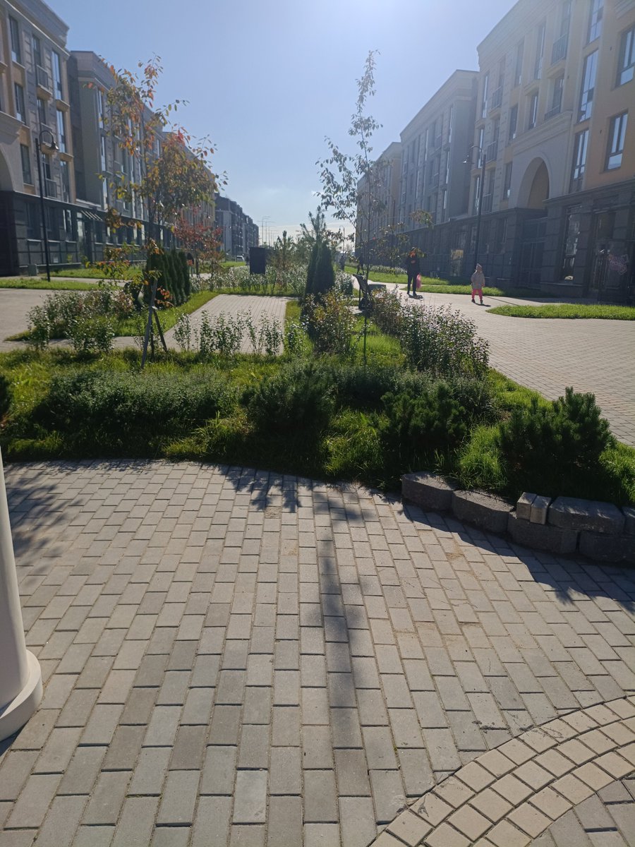 Treska_riba's tweet photo. Всем доброго дня https://t.co/ArAoUiyflH