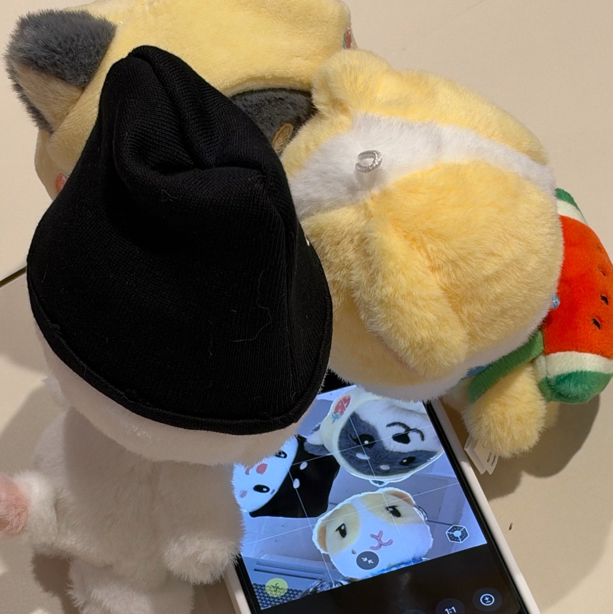 gguizzi927's tweet photo. 사이좋게지내라 https://t.co/8OSTbu581x