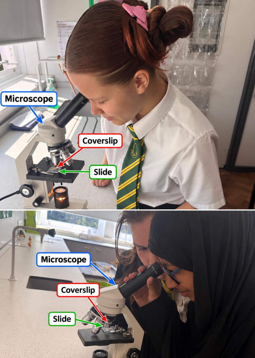 HolyTrinityCol's tweet photo. 🔬🧅 Science in action!

Our Year 7 students were mesmerised as they viewed onion cells under the microscope! 👀✨ 
They loved the opportunity to see the microscopic world up close and bring their learning to life.🧪🔬
#Year7 #Science #LearningInAction https://t.co/JCx6oK2Ty3
