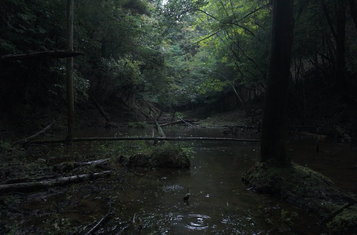 KankyoRyoko_'s tweet photo. 「水源地から始まる区切りのない世界のワークショップ」開催しました。

環境省近畿環境局からの受託事業として、月ヶ瀬地区の水源地を保全する活動の第一弾となります。今回は、コモンフォレスト・ジャパンの坂田昌子さんをお呼びし、2日にわたって見立てを実施していただきました。 https://t.co/D2P019hD1h