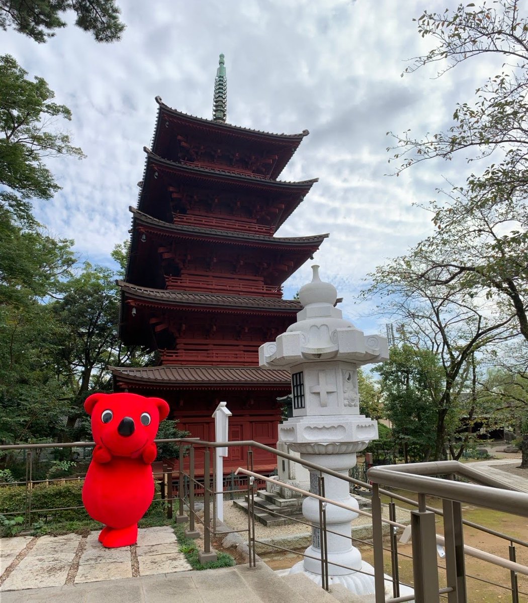 chi_bakun_chiba's tweet photo. みんなおはちばー！
今日は #中山法華経寺 に来たよ！
これからいろいろ散策するよ♪ https://t.co/R7PYiSDjs7