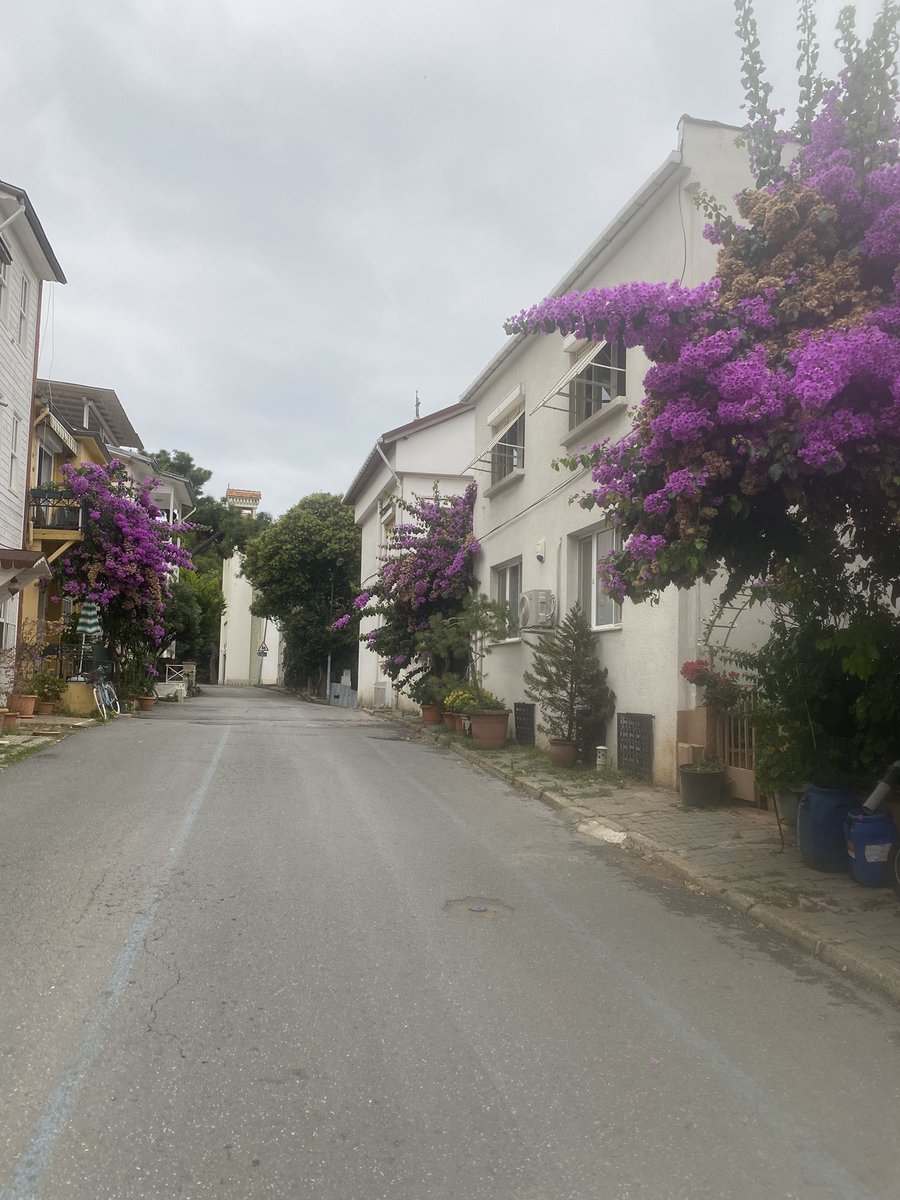 Ebrulim_FB1907's tweet photo. #güno #burgazada şahane bir gün olsun 💜 https://t.co/3cAomV5OGm