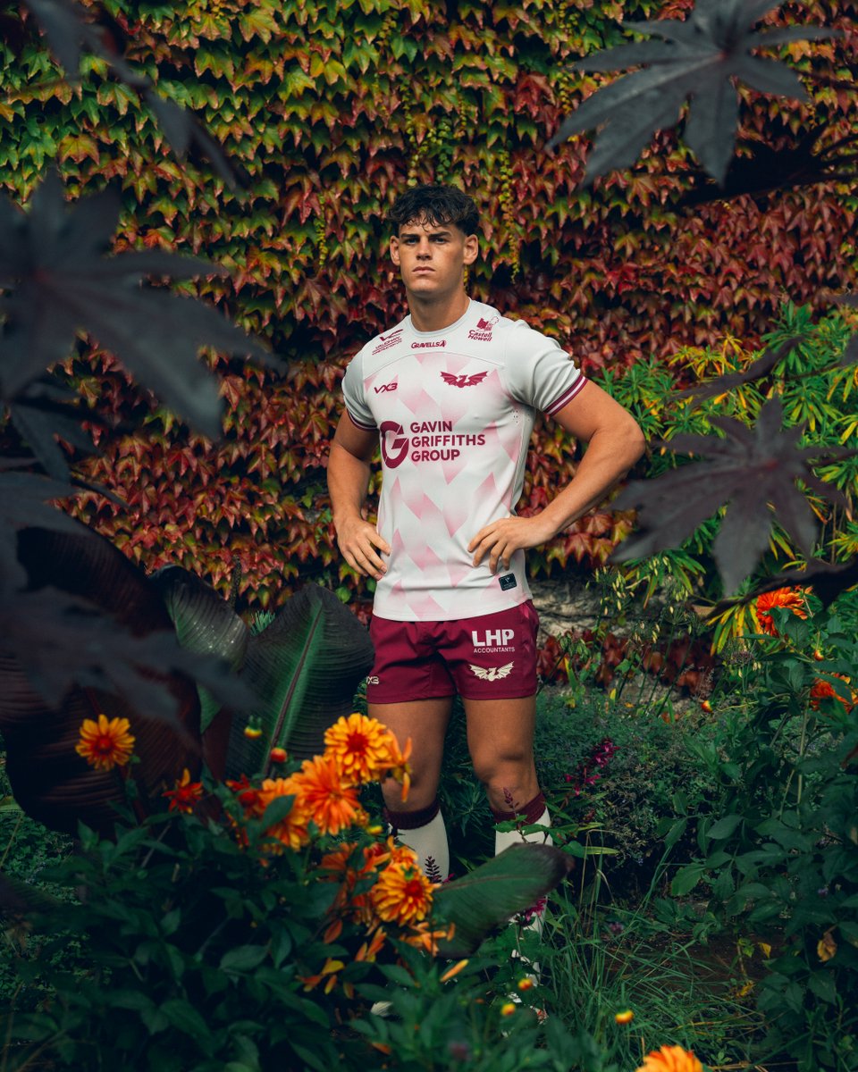 VX3apparel's tweet photo. Beauty is in the details. 

Take a closer look at the new @scarlets_rugby 26/27 Third kit. 
---
Shop now: https://t.co/CyvSNB56Jc
--- 
#VX3 | #Scarlets | #EquippedToConquer https://t.co/AxWeHDPRlY