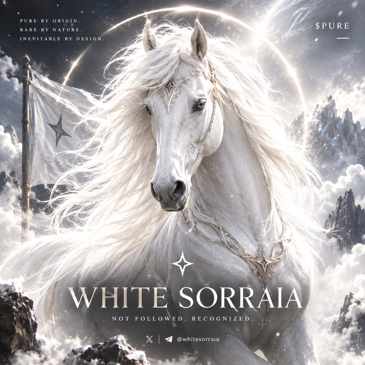 real_decent1's tweet photo. 🐎⚪ WHITE SORRAIA IS COMING.

Most will see another memecoin.

The few who look deeper will see the anomaly.

WHITE SORRAIA.

A breed that should not exist.

Yet it does.

Pure by origin.
Rare by nature.
Impossible to ignore.

$PURE isn’t here to chase attention.

It is here to be recognized.

The House of Sorraia holds two names:

⚫ BLACK SORRAIA — $RARE
⚪ WHITE SORRAIA — $PURE

And now, the white side of the House is preparing to make its entrance.

No forced hype.
No endless promises.
No unnecessary noise.

Just a community watching closely.

Just an anomaly waiting to be revealed.

And when the moment arrives…

THE CA DROPS.

No exact date.
No hand-holding.
No second chances.

If you’re reading this early, you’re already ahead of the crowd watching from the outside.

Observe.

Understand.

Position yourself.

Then watch the PURE emerge.

🐎 WHITE SORRAIA — $PURE

Not followed.
Recognized.

TG: https://t.co/SFZ6PzPbdG
X: @whitesorraia

KEEP IT PURE. ⚪