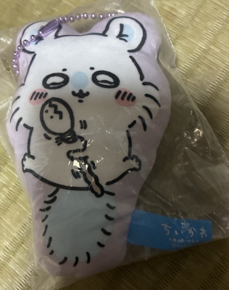 totiotome0221's tweet photo. クッションキーホルダーやったら1発でモモンガ出た https://t.co/6c0DEiXPu6