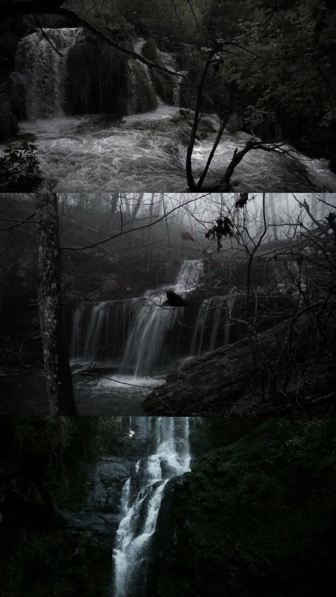 elemmiressoul's tweet photo. dark forest.🖤 https://t.co/X0gvQKwwzk