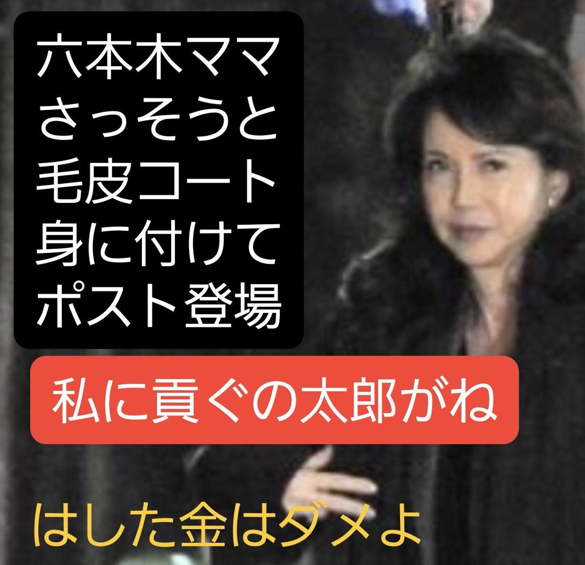 11happygogo's tweet photo. 麻生太郎もメロメロ～
ママさん～血税よ
返してね
六本木ママさんご紹介だよ～
女優さんに似たママさんだね
麻生太郎が夢中で貢ぐわけだ
美女と野良犬 https://t.co/zqvoPyCAcP