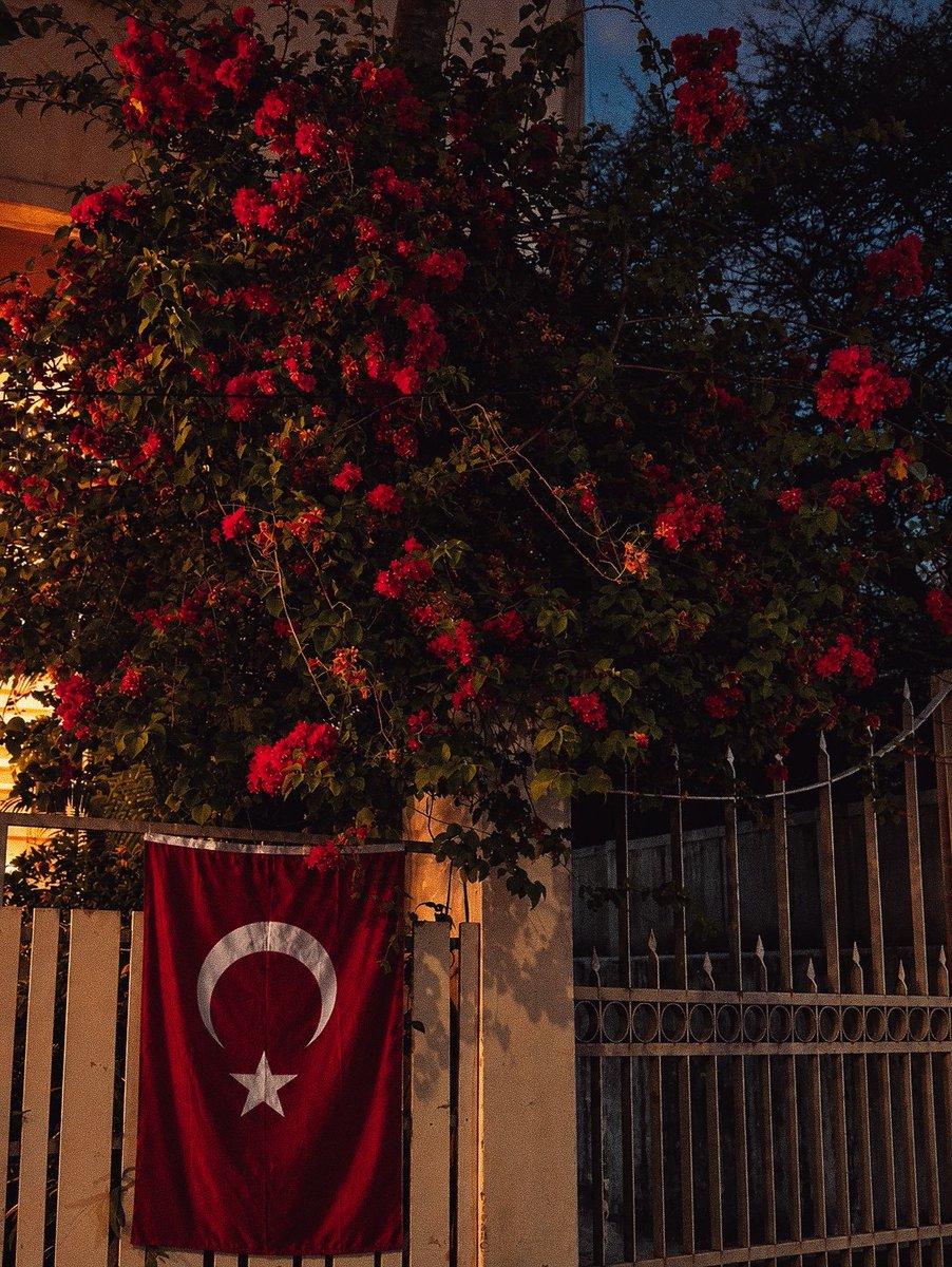 esref_1883's tweet photo. “kavgayı, şiiri ve seni çok seviyorum..”🇹🇷 https://t.co/JvnmpDAVtl