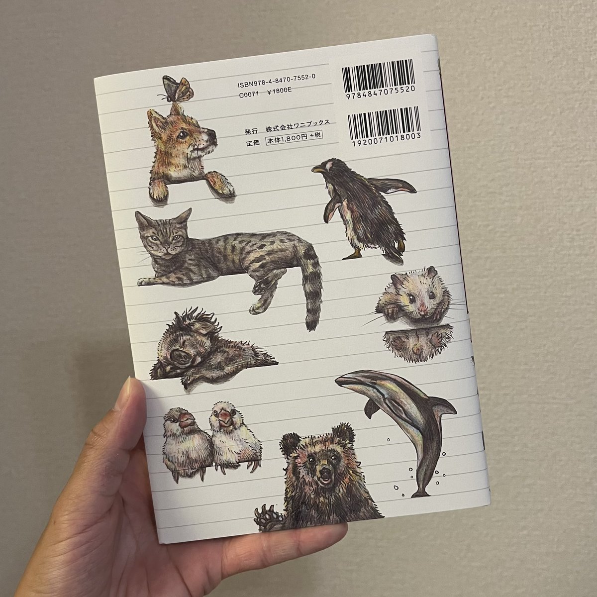 _harenatsu's tweet photo. 【初 作品集、好評発売中です！】

「罫線で遊ぶ動物」達のノートを再現した1冊。A5サイズでほぼ実寸大です。

全国の書店・楽天ブックス・Amazonでご購入頂けます。

是非お迎えください📚🧑‍🎨 https://t.co/VgvoP9OYkn