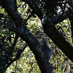 Photo by Canopy Tour SA (@CanopyTourSA)