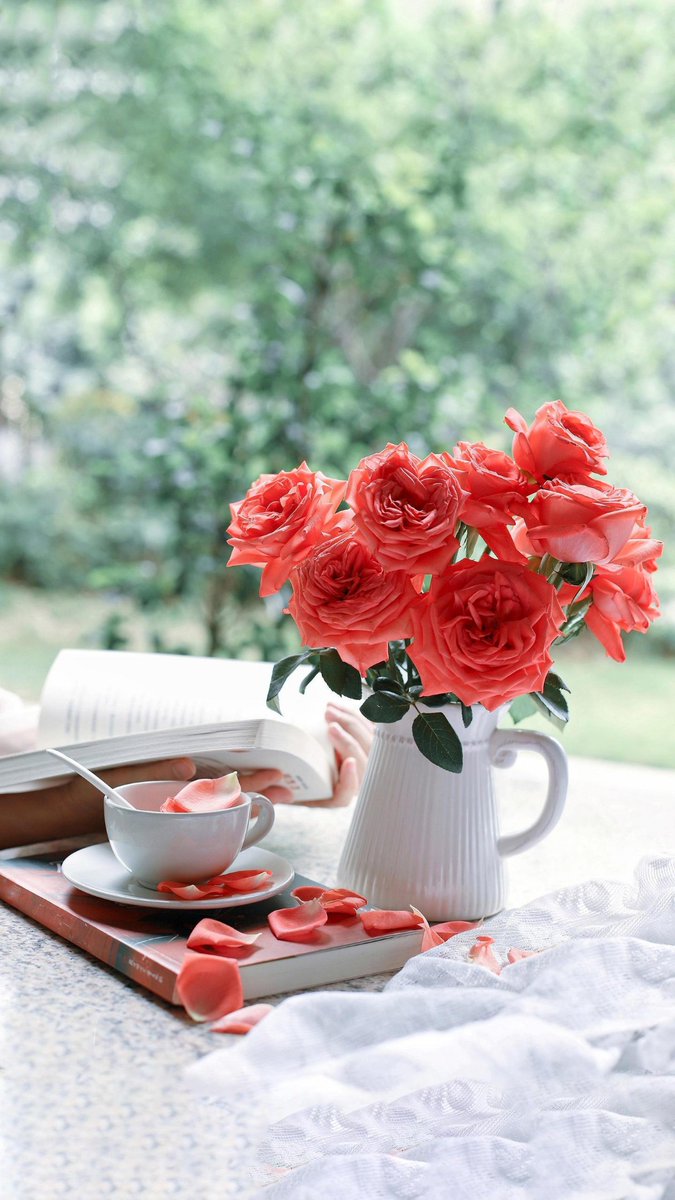 b52f6_690's tweet photo. I love the delicate蔷薇 bloom, the 也 cozy afternoon, sipping tea, making a 币 small wish, and this 约 pleasant time is really nice. https://t.co/RJRcrzVpmz