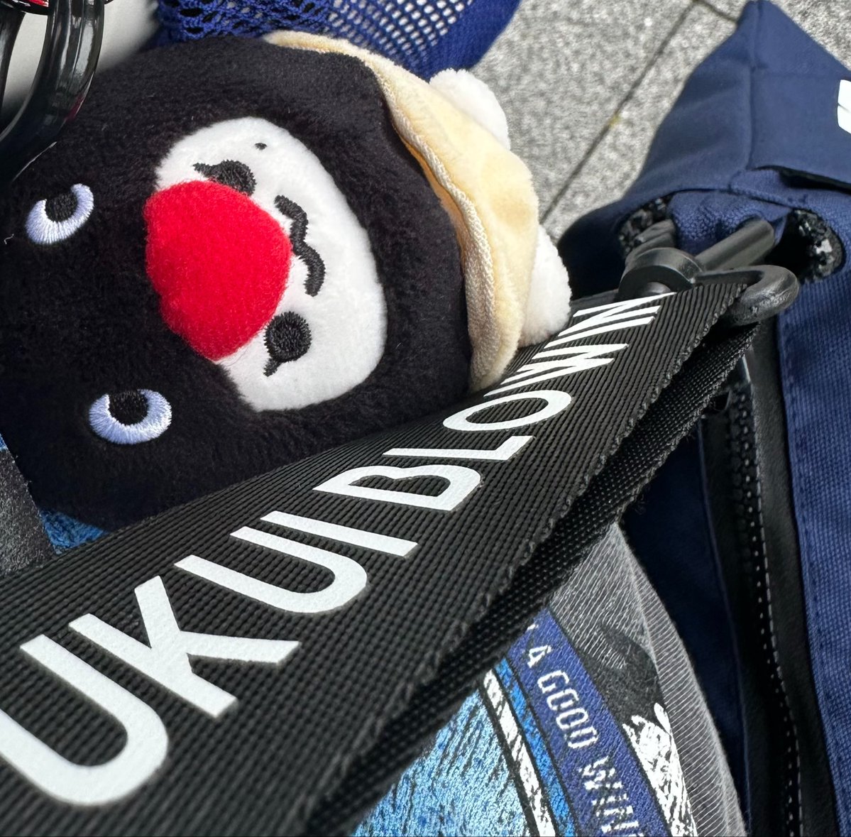 ataiwayuk's tweet photo. 今シバスケのアウェイ熊本🧸と岐阜🦅に帯同いたしましたピングテングちゃん💙🌪️ https://t.co/9XvAetFxUt