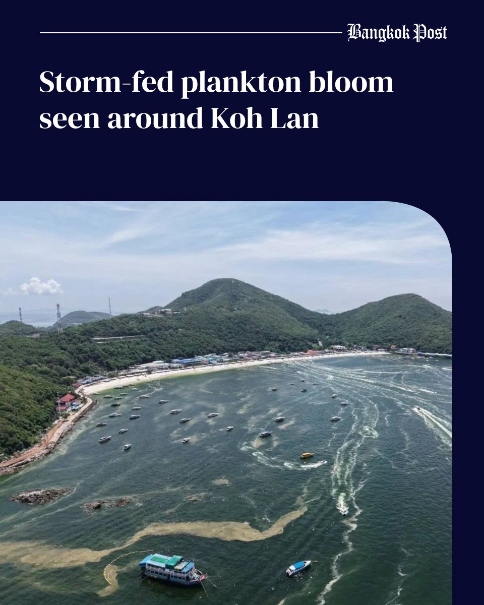 BangkokPostNews's tweet photo. PATTAYA — The sea around Koh Lan, a popular island destination just off Pattaya in Chon Buri province, turned green on Wednesday, surprising some tourists unfamiliar with the phenomenon of a plankton bloom following heavy rainfall.

Listen to or read full story in 1st comment. https://t.co/zgkeAFYNyx