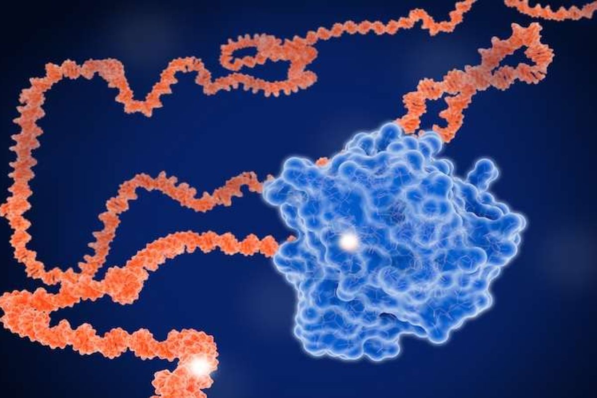 DDWJournal's tweet photo. $1 million Stephenson Global Prize honours pioneering KRAS research

https://t.co/nxyDNtszGl

Follow DDW; Business insights for the global scientific community
#CancerResearch https://t.co/VuPbYF3ZEc