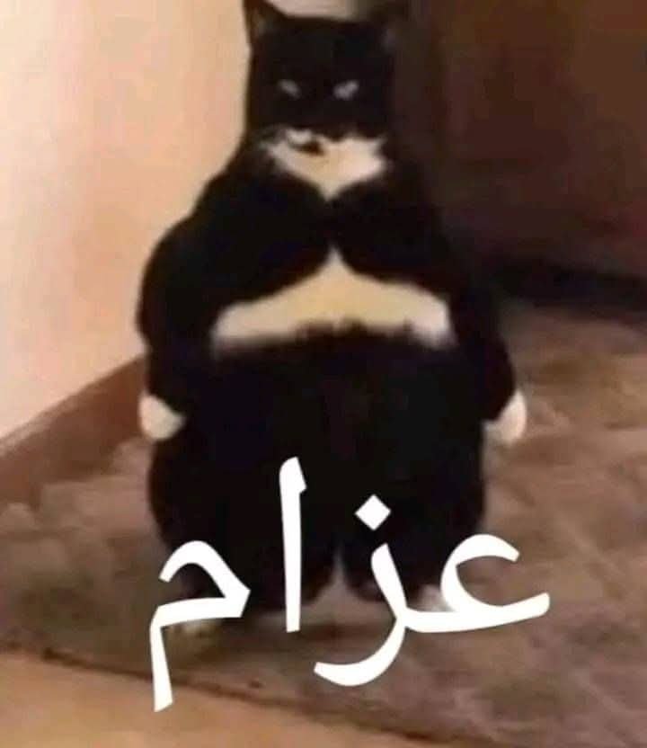 Azzaam_911's tweet photo. Face reveal https://t.co/8EnwMgmhsh