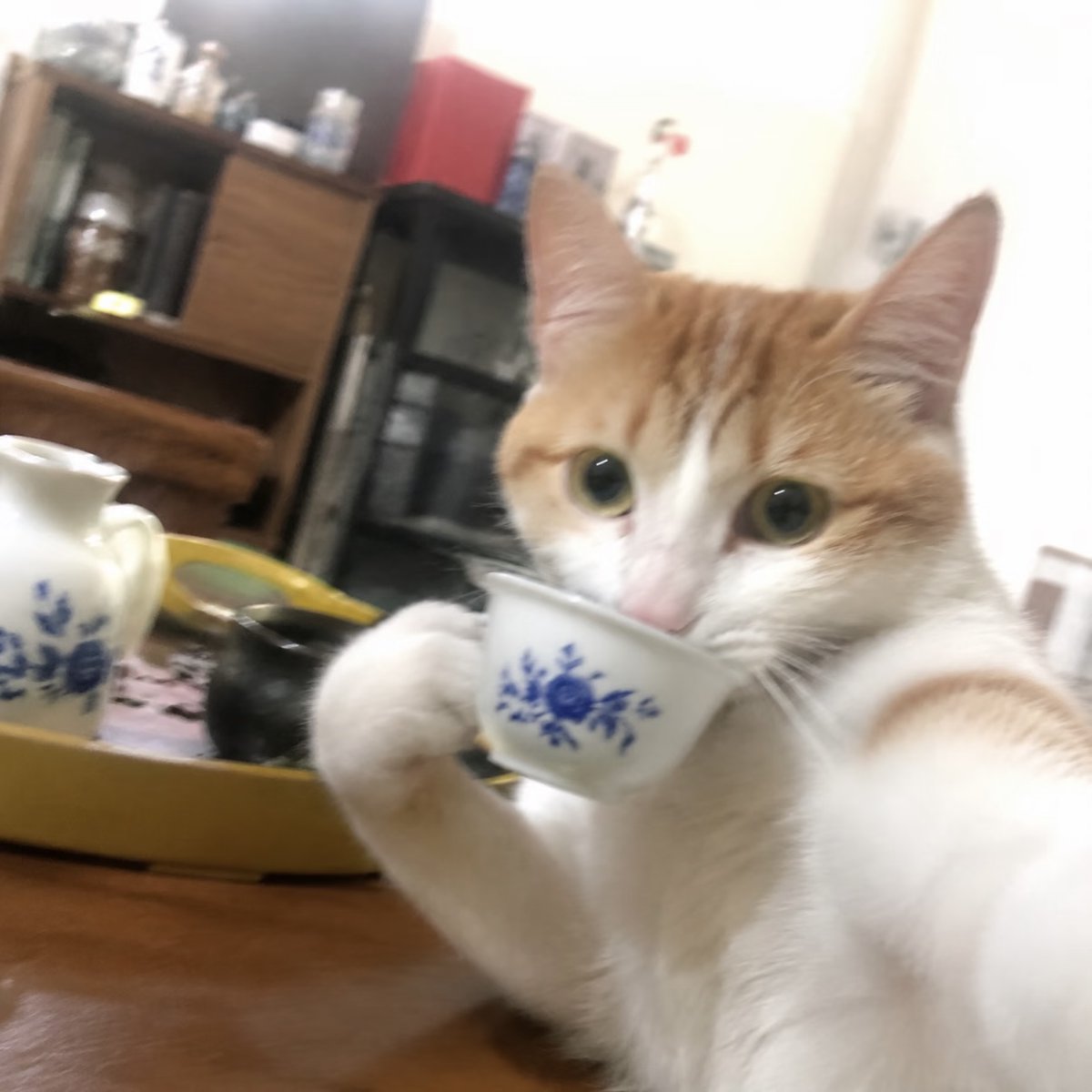 baviskar_smita's tweet photo. 家に帰ってお母さんに会いたいです。すごく疲れました。皆さん、お仕事はどうですか？ https://t.co/f8ZAhZxl8b