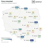 Photo by zametr.pl (@zametr)