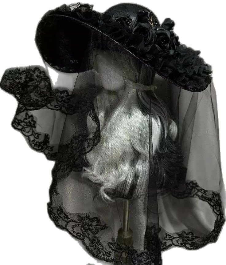 evergreenhues's tweet photo. veiled hat https://t.co/YJAsLK69UG
