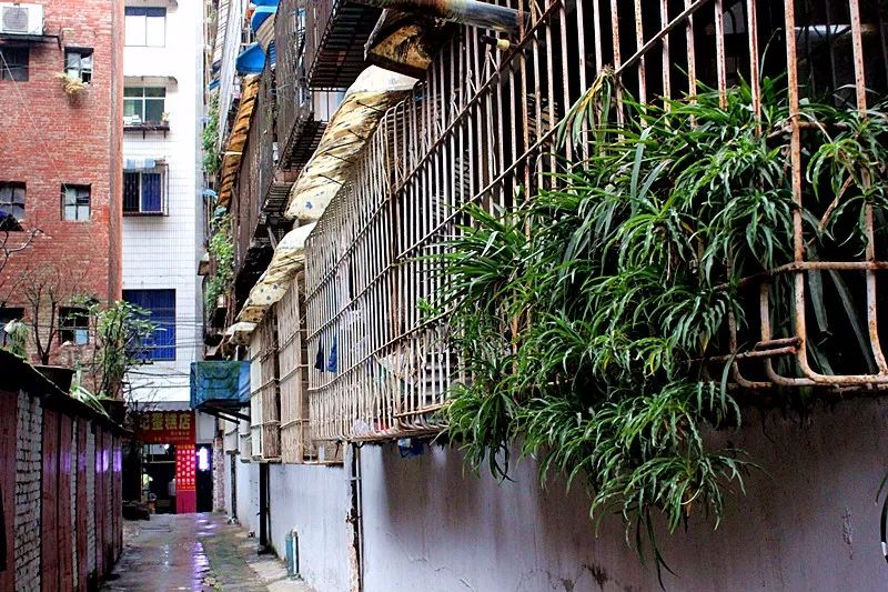 jul19082's tweet photo. [On this quiet evening, I strolled through the old alley, the old house’s door creaked open slightly, a girl’s figure peeked out, her eyes full of gentle envy. This little encounter stole my heart.]， https://t.co/oyO3Mcpx3B