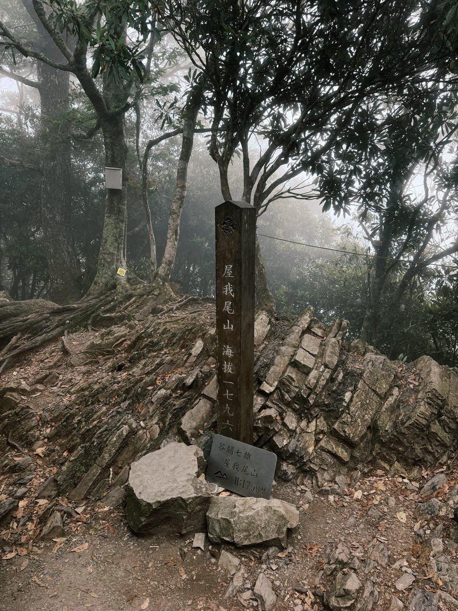 Hiinij1e's tweet photo. 屌爬一個 https://t.co/aJClIy129c