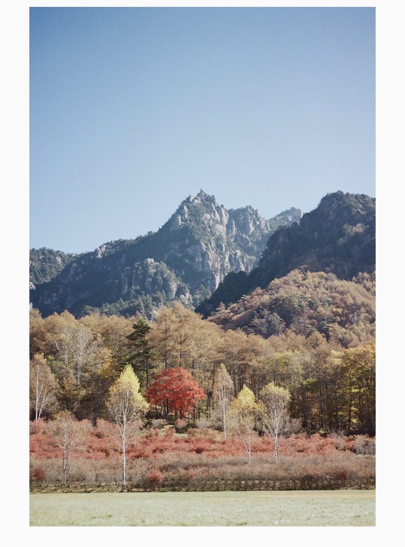 Gm9Jn's tweet photo. #これを見た人は好きな山の朝写真をあげる

#瑞牆山

　昔、山頂まで登った好きな山です。あいにく、写真は撮っていないので、フリーペーパーの写真を載せます。 https://t.co/23ZAcBgq13