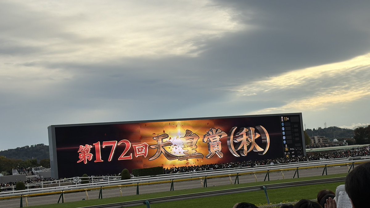 AMANE_tanitani's tweet photo. ちなみに去年の天秋は現地でしたねー
ふるっぱーの大特典会からの天皇賞・秋❤️‍🔥（タスティエーラ本命で死んだ） https://t.co/zzOOj3BTvJ