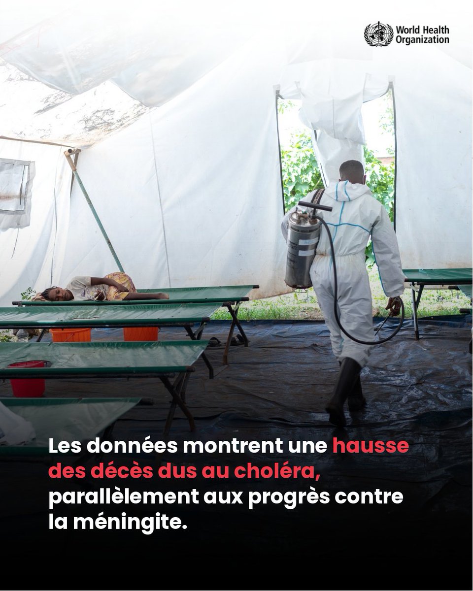 OMSRDCONGO's tweet photo. La #RDC🇨🇩 figure parmi les 7 pays concentrant environ 90 % des cas et décès dus au #choléra signalés dans le monde en 2025. À l’échelle mondiale, les décès ont bondi de 30 %, atteignant leur niveau annuel le plus élevé depuis 1999. En savoir plus ici : 

🔗https://t.co/ioKGtgIg4e https://t.co/seNz4nlOBr