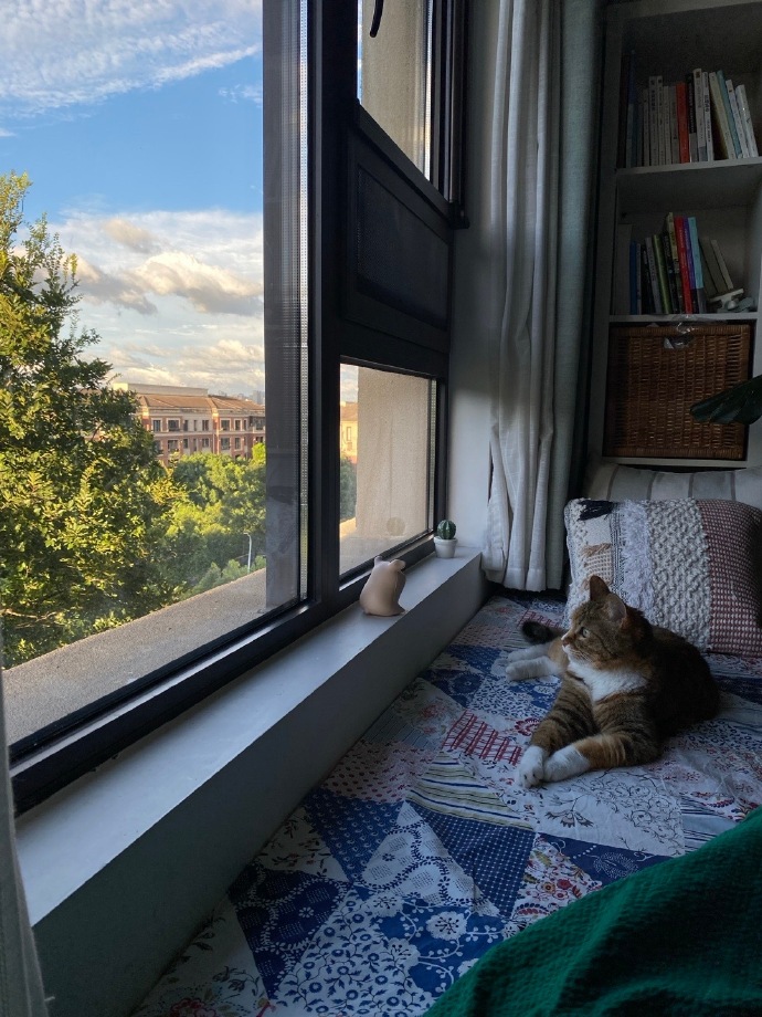 ervrm7115's tweet photo. When a kind neighbor’s thoughtful chat eases my little discomfort, life’s small warm moments hit different. https://t.co/AUolOTPy93