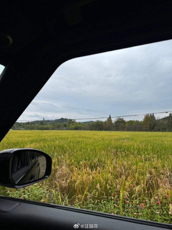 vrix_ez48002's tweet photo. The room where I was staying got stuffy, and I hoped to wait for the car to take me to the rice field nearby for a visit.， https://t.co/qAdd0A1rQD