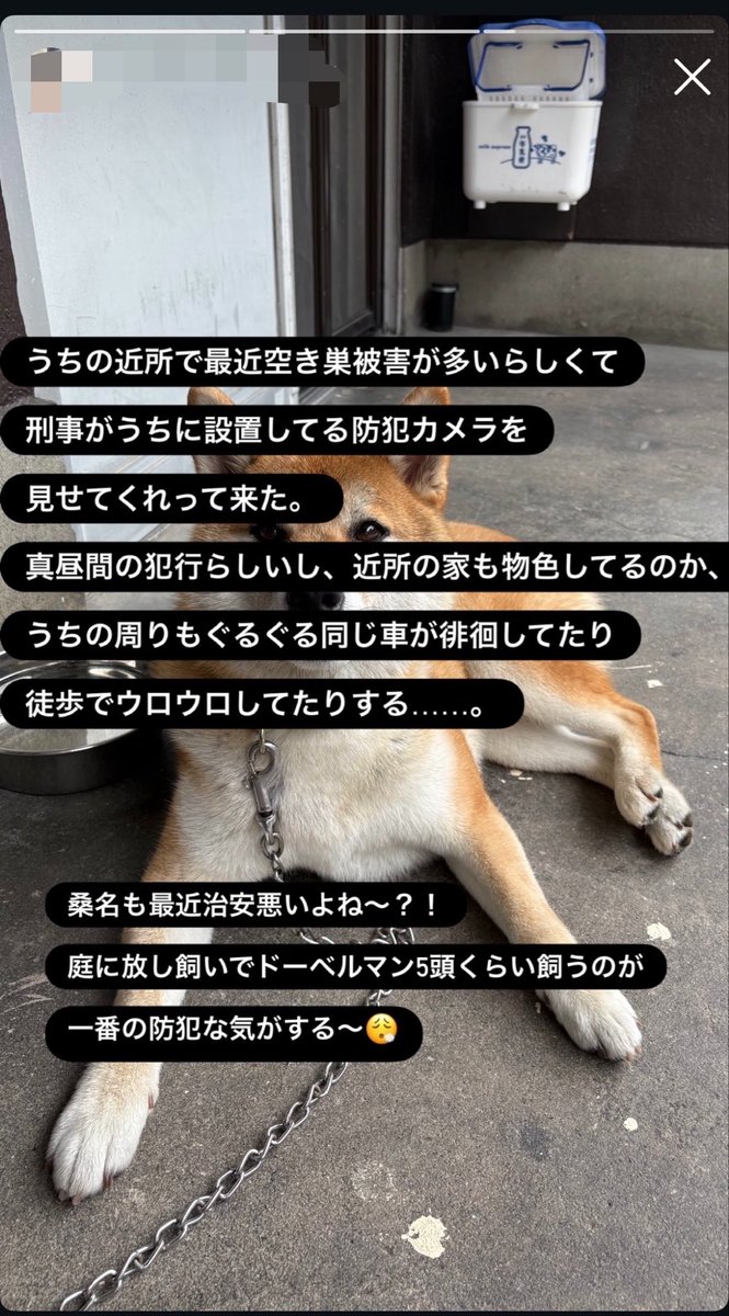 2022meimei3's tweet photo. 三重に嫁いだ長年の友人とのやり取りです🔻（8月）確実に治安悪化している様子。 https://t.co/P2mSLmhsm1