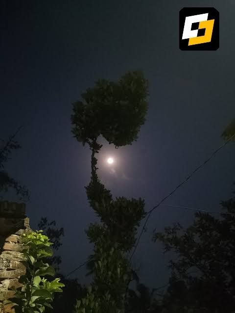 Ovi_canvas's tweet photo. @zBit_Official Framing natureโs perfection under a moonlit sky Nature blooms, the moon shines bright, and zBit lights up the night. Happy Mid-Autumn Festival to the global @zBit_Official family! โจ
โ#FullMoonWithzBit @zBit_Official https://t.co/dFVZGA4Ycv