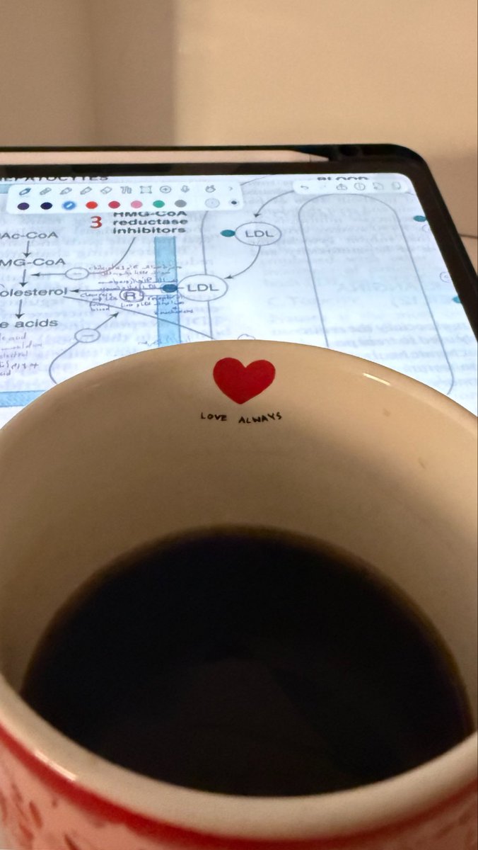 rrodaah's tweet photo. in the rhythm of CVS https://t.co/MCeBy7TmFR