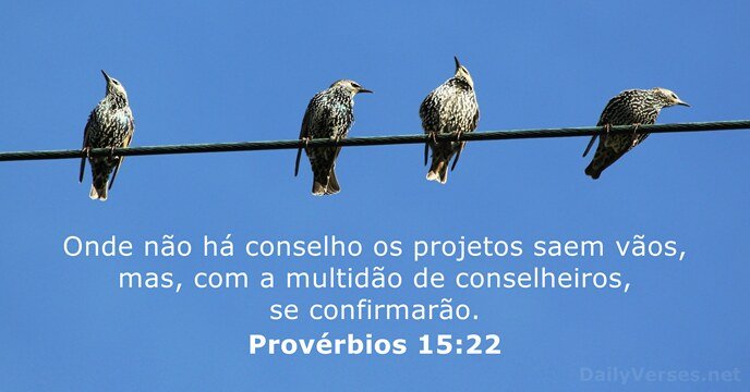 MarceloJoseTeod's tweet photo. Onde não há conselho os projetos saem vãos, mas, com a multidão de conselheiros, se confirmarão.
Provérbios 15:22 ARC https://t.co/dSS4Nd8Vhc