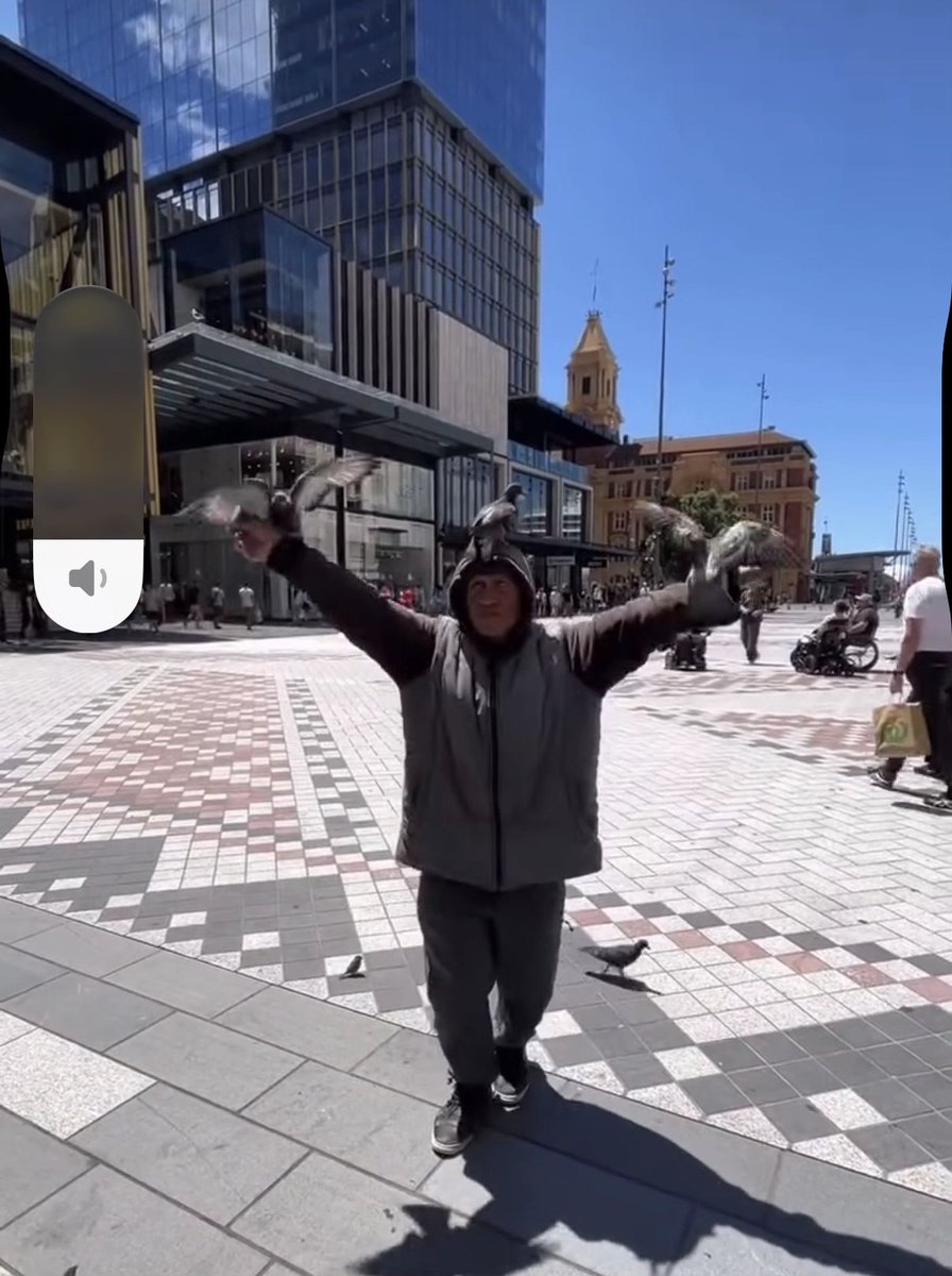 czs_fortune's tweet photo. IRL BIRD WHISPERER JUST DROPPED AND ITS MEGA VIRAL

A dude literally controlling a group of birds is going mega viral on TikTok rn with 2.5M VIEWS in a day.

There's multiple videos of him and people are going crazy over him.

https://t.co/JATYtgi9ja https://t.co/GMZS0szVu6