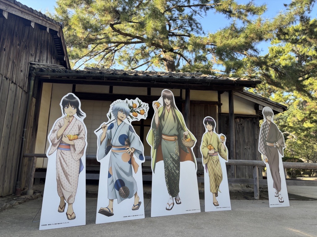 gintamamovie's tweet photo. ⋆˙⟡ #山口県 #萩市 ×『#銀魂』【#銀魂暦】⊹₊⟡
〜たまには昔を振り返ってみるのも吉〜

明日より開催🍊₊⟡
魅力たっぷりな山口県萩市を銀魂とともにお楽しみください🍂⋆˙
みなさんのご来訪をお待ちしております！

開催期間：10/1〜12/31
詳細はこちら
https://t.co/Ek9P7Ges4x

#gintama https://t.co/TJFrtqNzqX