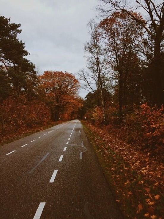 thespookygirll's tweet photo. next stop, October 🎃👻🦇🍂🤎💀⛈️ https://t.co/WF0ri9sGob