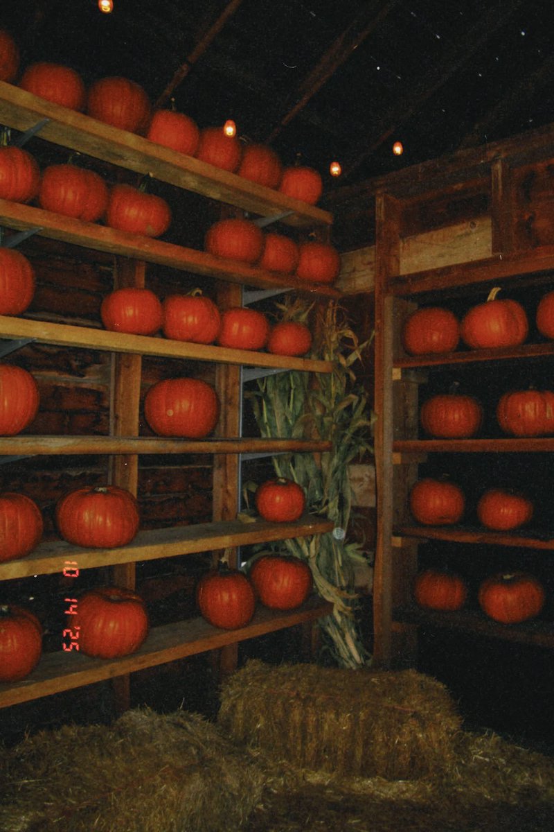 thespookygirll's tweet photo. next stop, October 🎃👻🦇🍂🤎💀⛈️ https://t.co/WF0ri9sGob